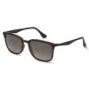 Hailgate Sunglasses - Tort/Gold -Fashion General Store 61856 HALIGATE 5