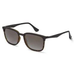 Hailgate Sunglasses - Tort/Gold