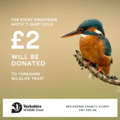 Rourke Womens Button Up Top - Optic White Bird 16 Rourke Womens Button Up Top - Optic White Bird -Fashion General Store Moreton2000x2000 045fa982 df1c 4f89 be31 f709ffd70515